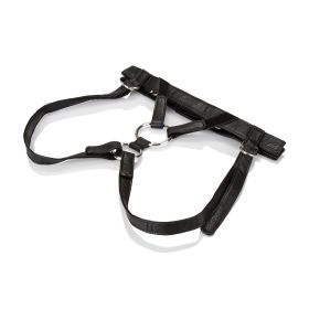 Her Royal Harness the Duchess